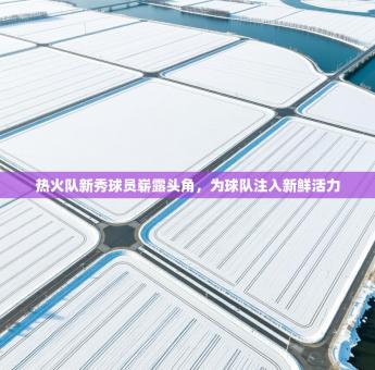 热火队新秀球员崭露头角，为球队注入新鲜活力