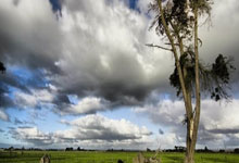 全队备战新赛季，主帅布置战术望全面开花