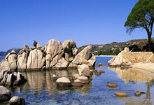 篮网战术突破研究曝光，或助球队逆袭成功